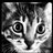 RedmageIV's profile image
