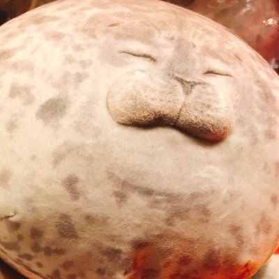 yase_tai_yooo's profile picture. ダイエット再起動🏃‍♂️💨 いつか素敵なウェディングドレスを着てみたいと最近考えつつある20代半ばです。 普段は甘くて可愛いケーキと肉体労働のゴリラ妖精🦍🧚‍♀️をしています。因みに趣味垢はこっち⇨@HRPK_mGmG3