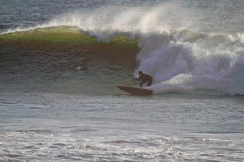 Jared Grieser