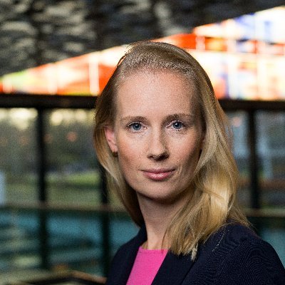 Oprichter | Advocaat belastingprocedures en fiscaal strafrecht | @ HuygenLammers Advocaten | Amsterdam