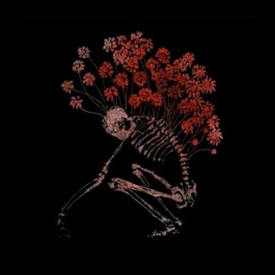 grangerbaba's profile picture. 