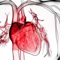 Valva Tricuspidalis (@trivalvology) 's Twitter Profile