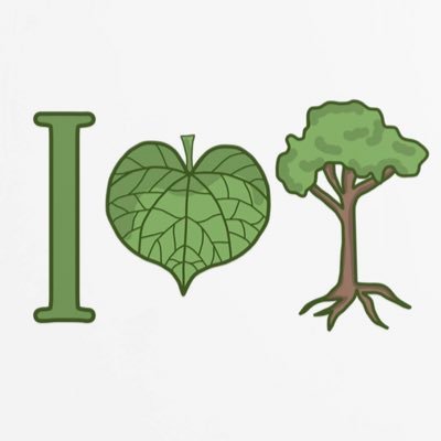 beatreehugger1's profile picture. the earth takes care of us, so why are we hurting it?