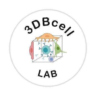 Group Leader at San Raffaele Hospital.
We work on malignant B cell biology and 3D modelling.