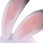 Wilmeragu1's profile picture. ...........................