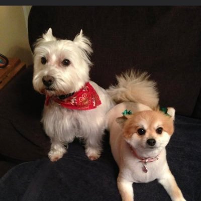 robin16251's profile picture. Wife, mom, grandma.