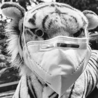 KritischerGeist (@kritischer) Twitter profile photo