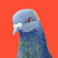 Doble Pletina (@doble_pletina) 's Twitter Profile