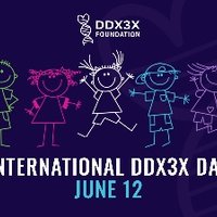 The DDX3X Foundation (@ddx3x) 's Twitter Profile