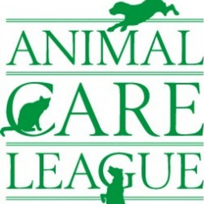 Animal Care League (@AnimalCareL) / Twitter Animal Care League (@AnimalCareL) / Twitter