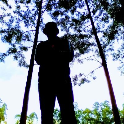 elvis_elvon's profile picture. 