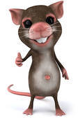 we are  updated twitter but look at  are  website think you we sell as  pets for  rats more  coming soon :)