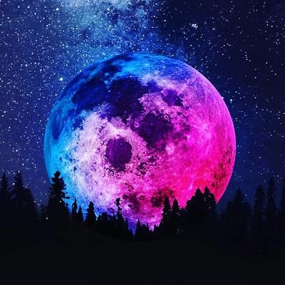TieLay4's profile picture. Professional Gamer 19 yo. Comp Fortnite, Valo & CoD Streamer on Twitch Content Creation on YouTube Posting Sh*t on TikTok