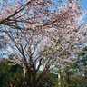 dq7xX8sp0dsqMNN's profile picture. 福井県で殺陣教室「武幻志塾」の塾長をやってます。
最近、特に人と人の交わりの大切さを身に染みてます。
好きな言葉に「我が成す業は我が成すに有らず」というのがあり、これは所詮１人で出来る事には限界がある。色々な人逹の協力があってこそ物事を成す事が出来る、なので常に周りに感謝をしなさいという意味です。
