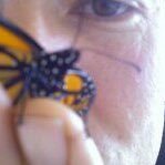 than15346's profile picture. No DMs please