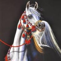 ريم (@reembinmegren) 's Twitter Profile