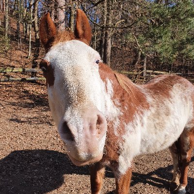 tfreissmuth's profile picture. 