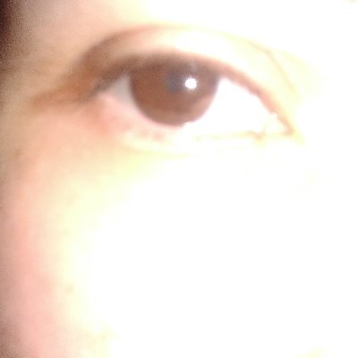 AjeelLessio's profile picture. 