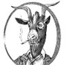 Geitebukk2's profile picture. Man skal ikke plage andre, man skal være grei og snill. For øvrig kan man gjøre hva man vil. 
Interested in everything, dedicated to nothing.