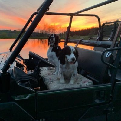 dflr1's profile picture. Conservative who loves God, country,  and family. Praying that the dark forces will be destroyed. My opinions based on research and public information.