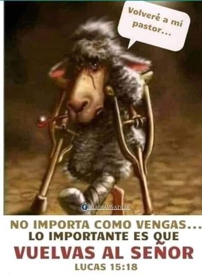 @MALVAREZLAPA