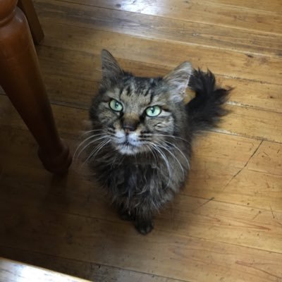 Abwpjxtdypmz's profile picture. 