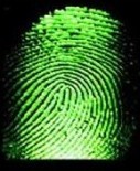 All About Forensic Science. A Free And Comprehensive Guide To The World Of Forensic Science