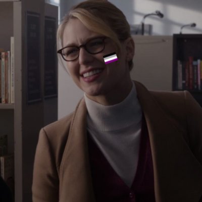 professional full-time kara danvers stan and apologist
she/her I 17 I ace
