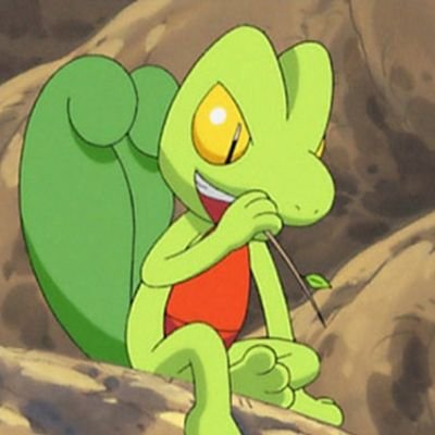 This account is dedicated to Treecko. Run by @JLrosen133