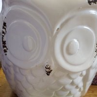 Mimibee (@mimibee90546911) 's Twitter Profile