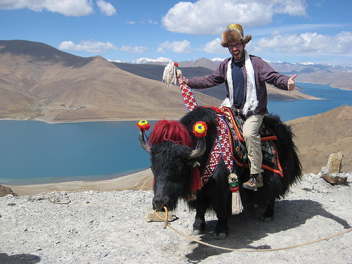 tadhog's profile picture. 