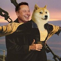 DogeForever(@BuyDogeForever) 's Twitter Profile Photo