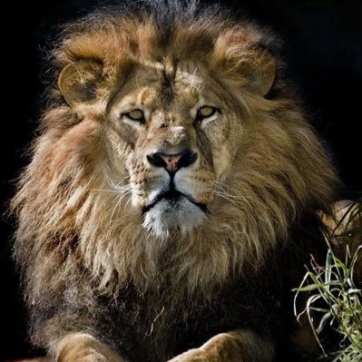 Alperakc19's profile picture. 