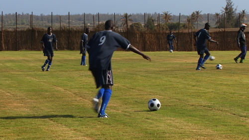 pisco28's profile picture. 