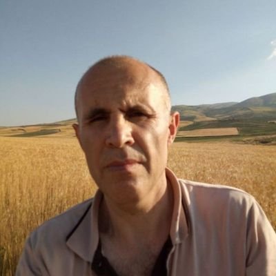 HedayatP's profile picture. 