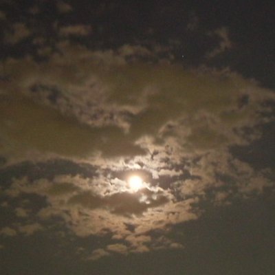 Quartodecimani's profile picture. I am also a human being, for better or worse. I am an ordinary person, and I am not a person of any importance.
わたしもまた良くも悪くも人間です。凡人であり、どうという者でもございません。