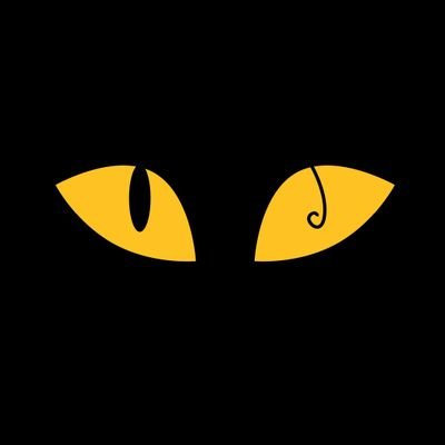 Making neat animations for people of 13 to 18, specially girls that like fantasy, action, comedy and mistery