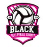 blackvbcircuit's profile picture. Uniting volleyball and culture 🏐✊🏽