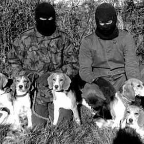 Revolución a todo trance contra el régimen capitalista (B.I.) | Andalucía, socialismo y liberación animal ✊🐾