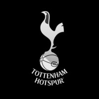 TOTTENHAM FC(@Tottenhamfc16) 's Twitter Profileg