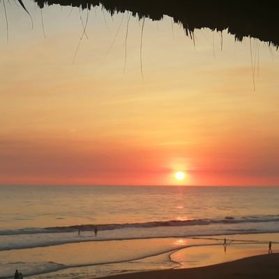 BocoSara's profile picture. imagínativa