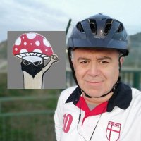 Gaston (@gamv65) 's Twitter Profile