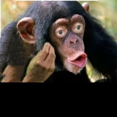 tokszar81's profile picture. 