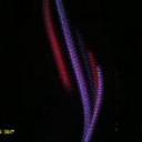 Barbi Smith - @barbi_barracuda - Twitter