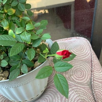 EricBrandon's profile picture. 