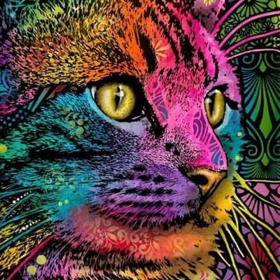 liccornu's profile picture. 