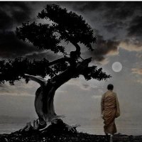 Rajat Bajaj (@rajatbajaj_) 's Twitter Profile