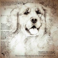 Davinci Crypto (@davincitide) 's Twitter Profile
