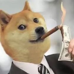 tGP5ue2fcbwF1ac's profile picture. 