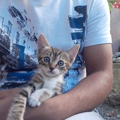 İnsan ! olunmadıkça ?
İddia edilecek bir şey' de yoktur !